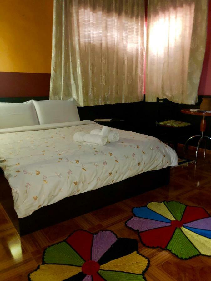 Hotel Rex 3*